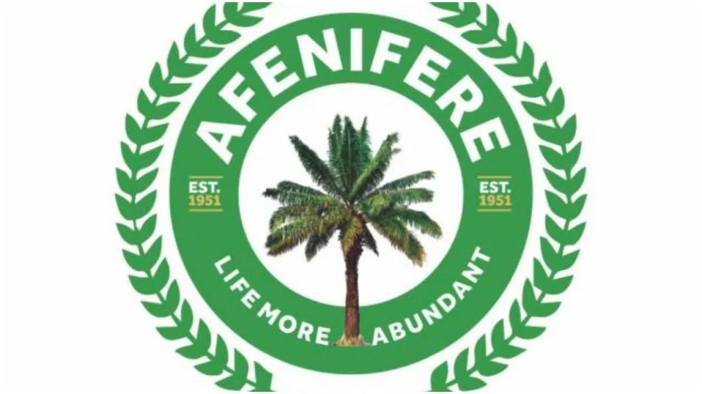 Let’s Review Nigeria’s Security Architecture — Afenifere